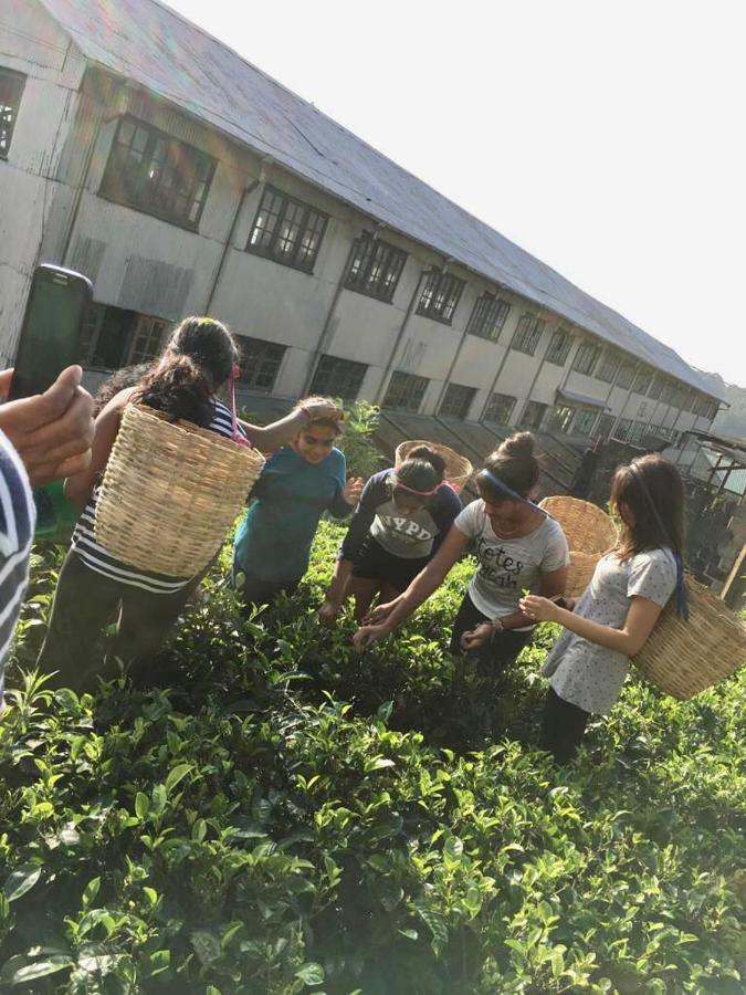 Ramboda Villa Kotmale Bagian luar foto